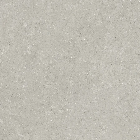 Delconca Wild Grey podwyższona odporność 80x80 - płytka imitująca kamień