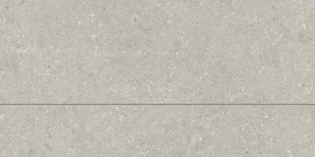 Delconca Wild Grey podwyższona odporność 60x120 - płytka imitująca kamień