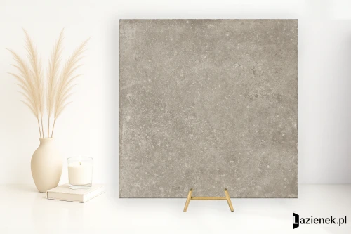 Przejdź do produktu Emil Ever Stone Grey naturalna 100x100 cm gr. 9 mm - płytka rektyfikowana / EN5U