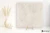 Emil Fabrika White naturalna 100x100 - płytka imitująca beton