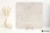 Emil Fabrika White jedwabista 100x100 - płytka imitująca beton