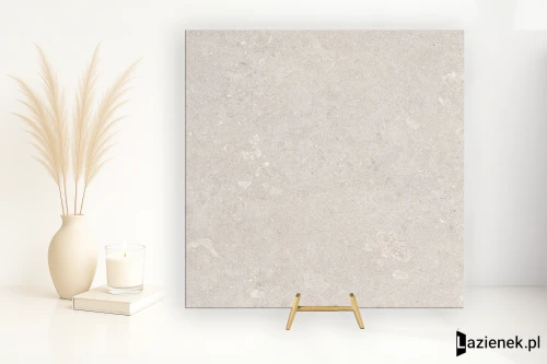 Przejdź do produktu Emil Mapierre Gris Noble naturalna 60x60 cm gr. 10 mm - płytka rektyfikowana / ELQU