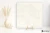 Emil Tele Di Marmo Onyx Onyx Ivory wysoki 120x120 - płytka imitująca marmur