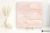 Emil Tele Di Marmo Onyx Onyx Pink wysoki 120x120 - płytka imitująca marmur