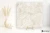 Emil Tele Di Marmo Precious Crystal Ambra naturalna 120x120 - płytka imitująca marmur