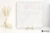 Emil Tele Di Marmo Precious Crystal White wysoki 120x120 - płytka imitująca marmur