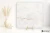 Emil Tele Di Marmo Precious Crystal White naturalna 120x120 - płytka imitująca marmur