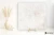Emil Tele Di Marmo Precious Crystal White naturalna 120x120 - płytka imitująca marmur