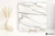 Emil Tele Di Marmo Reloaded Calacatta Gold Canova wysoki 90x90 - płytka imitująca marmur