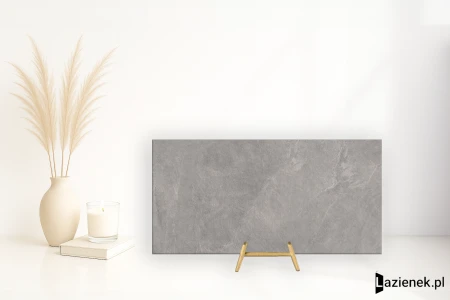 Ergon Cornerstone Slate Grey naturalna 45x90 - płytka imitująca kamień