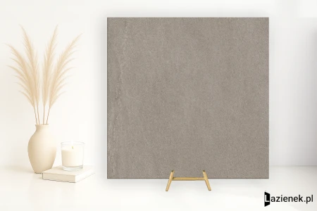 Ergon Stone Talk Taupe naturalna 60x60 - płytka imitująca kamień