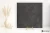 Ergon Tr3Nd Concrete Black naturalna 120x120 - płytka drewnopodobna