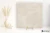 Ergon Tr3Nd Concrete Ivory naturalna 120x120 - płytka drewnopodobna