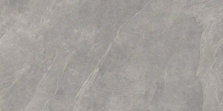 Ergon Cornerstone Slate Grey naturalna 30x60 - płytka imitująca kamień