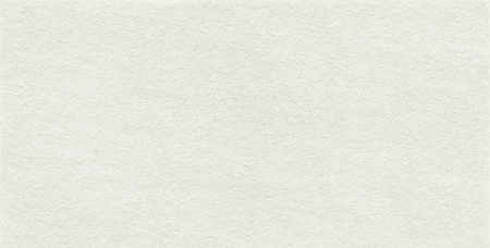 Ergon Elegance Pro White strukturalna 60x120 - płytka imitująca kamień