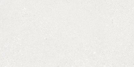 Ergon Grain Stone Rough White techniczna 60x120 - płytka imitująca lastryko