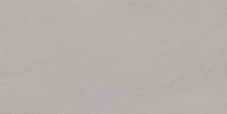 Ergon Stone Talk Grey techniczna 60x120 - płytka imitująca kamień