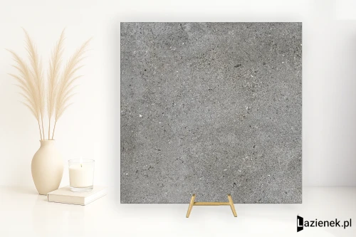 Przejdź do produktu Ariostea Astra Fog antypoślizgowa 60x60 cm gr. 20 mm - płytka rektyfikowana / PMS60655