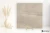 Graniti Fiandre Pietra Di Basalto Active Beige antybakteryjna 60x60 - płytka imitująca kamień