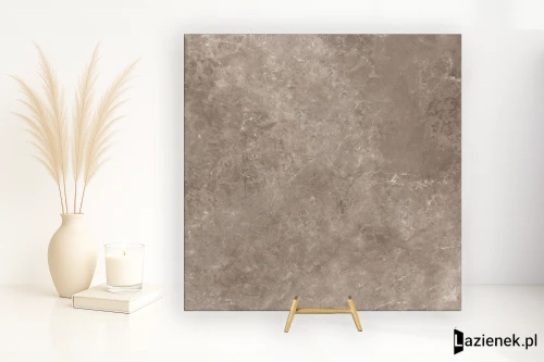 Przejdź do produktu Ariostea Twin.S Dove naturalna 60x60 cm gr. 8 mm - płytka rektyfikowana / P6698R10