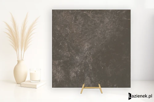 Przejdź do produktu Ariostea Twin.S Licorice naturalna 60x60 cm gr. 8 mm - płytka rektyfikowana / P6696R10