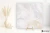 f99f1b656e7bc09ec5860413fc76a265