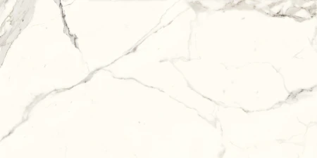 f8d3fc332621176e9c63c9073f9983c8