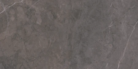 bad1a758437a25821028888a693e5b89