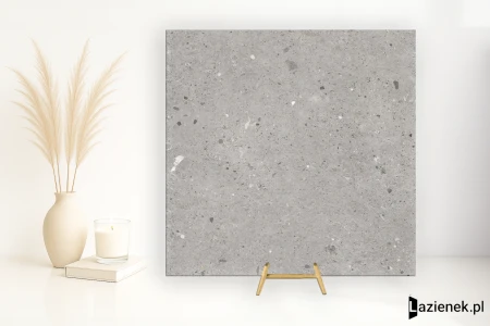 Provenza Ego Grigio naturalna 60x60 - płytka imitująca lastryko
