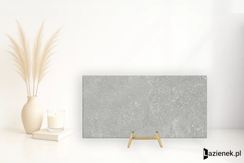 Przejdź do produktu Provenza Eureka Grigio techniczna 60x120 cm gr. 10 mm - płytka rektyfikowana / E093
