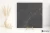 cdbfbe9337ada8fcd7f209801b52eb2a