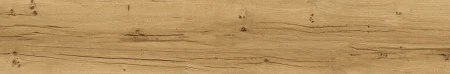 229330586cea1d83f330c1203bf4d890