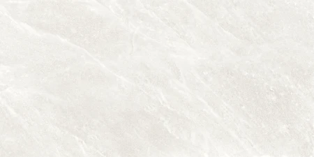 b501785e5ae83f804e6555c471432b14