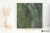 Apavisa Aquarela Green naturalna 99.55x99.55 - płytka imitująca marmur