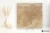 Apavisa Fire Beige naturalna 99.55x99.55 - płytka imitująca terakotę