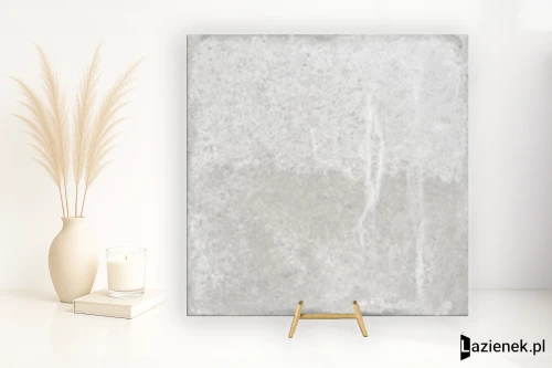 Przejdź do produktu Apavisa Focus Grey naturalna 59.55x59.55 cm gr. 10 mm - płytka rektyfikowana / 8431940448836