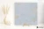 919d564deacf85f20bb2617bdabcf1a8