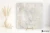 ba38e05bf86e7ebdda54106d2d32f63a
