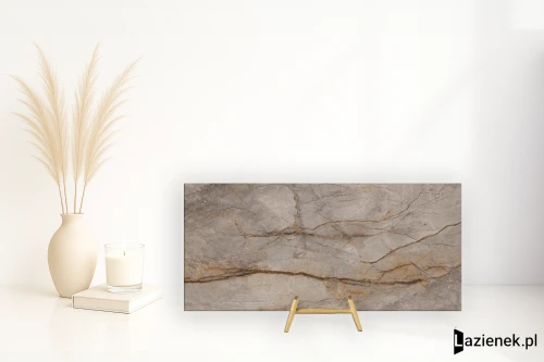 Przejdź do produktu Apavisa Wild Forest Grey polerowana 119.3x280 cm gr. 6 mm - płytka rektyfikowana / 8431940445484