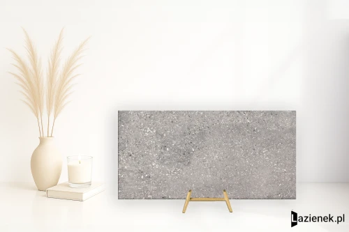 Przejdź do produktu Apavisa Wind Grey naturalna 49.75x99.55 cm gr. 20 mm - płytka rektyfikowana / 8431940361470