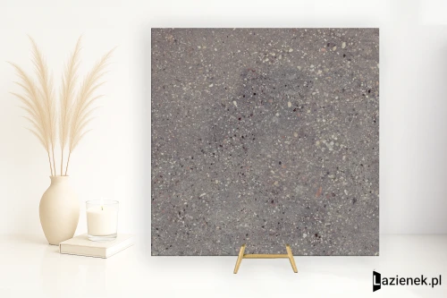 Przejdź do produktu Apavisa Wind Moss naturalna 59.55x59.55 cm gr. 10 mm - płytka rektyfikowana / 8431940361425