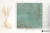 2c3359701979a586d9933b29240d369b