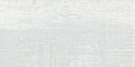 54c672bd6181557e8cc56735c21260d2
