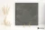 cdd33a6aff6960b42bbd07a5659cdf07