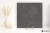 dcc30651896a85b8cabfdb422cd1aef9