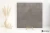 86b91338115ef8ca5c627a723d19a99b