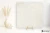 ed1a64ba2136efd2757ac31b13823cec