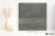 b48b8b7150dac2d3342fa826ec11f67f