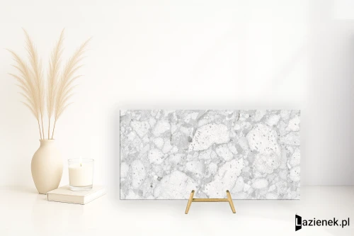 Przejdź do produktu Iris Theke Pietre Ceppo Alpino półpolerowana R10 60x120 cm gr. 8 mm - płytka rektyfikowana / 892877