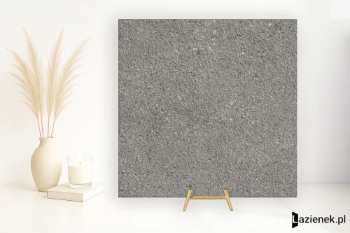 Przejdź do produktu Iris Victorian Stone Silver Grey płomieniowana 60x60 cm gr. 8 mm - płytka rektyfikowana / 8669986